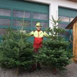 Weihnachtsbaum-Weitwurf-Wettbewerb am 28. Januar | Wer wirft am weitesten?