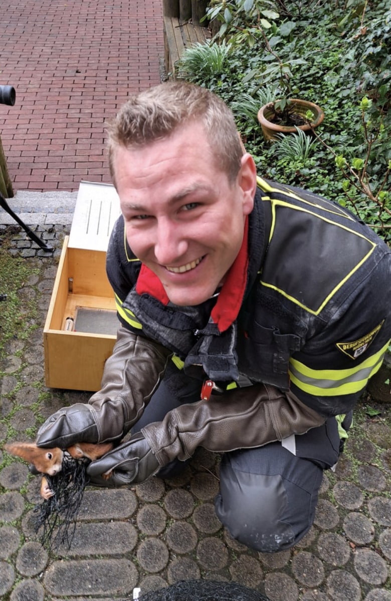 &Quot;Ins Netz Gegangen&Quot; | Berufsfeuerwehr München Befreit Eichhörnchen