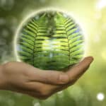 Greenwashing erkennen | Zentrum für Klimaresilienz der Universität Augsburg entwickelt Konzept für Indikator