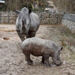 Tierische Ostern | Der Zoo Augsburg feiert mit einigen Highlights