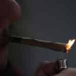 Augsburger Grüne begrüßen Cannabis-Legalisierung