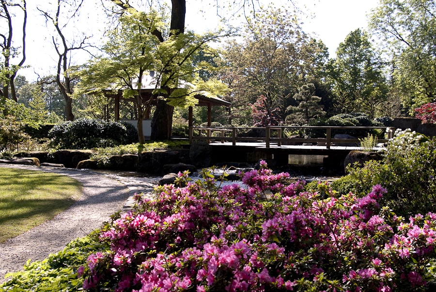 Wunderschöne Blütenvielfalt Und Ein Buntes Veranstaltungsprogramm Laden In Den Botanischen Garten Augsburg Ein