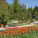 Wunderschöne Blütenvielfalt und ein buntes Veranstaltungsprogramm laden in den Botanischen Garten Augsburg ein