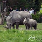 Zukunft des Zoo Augsburg | Breite politische Debatte über Erhalt, Entwicklung und Visionen