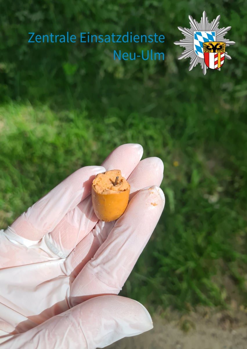 Zahlreiche Hunde Durch Präparierte Hundeköder In Ulm Und Neu-Ulm Verletzt - Polizei Kann Geständigen Tatverdächtigen Festnehmen