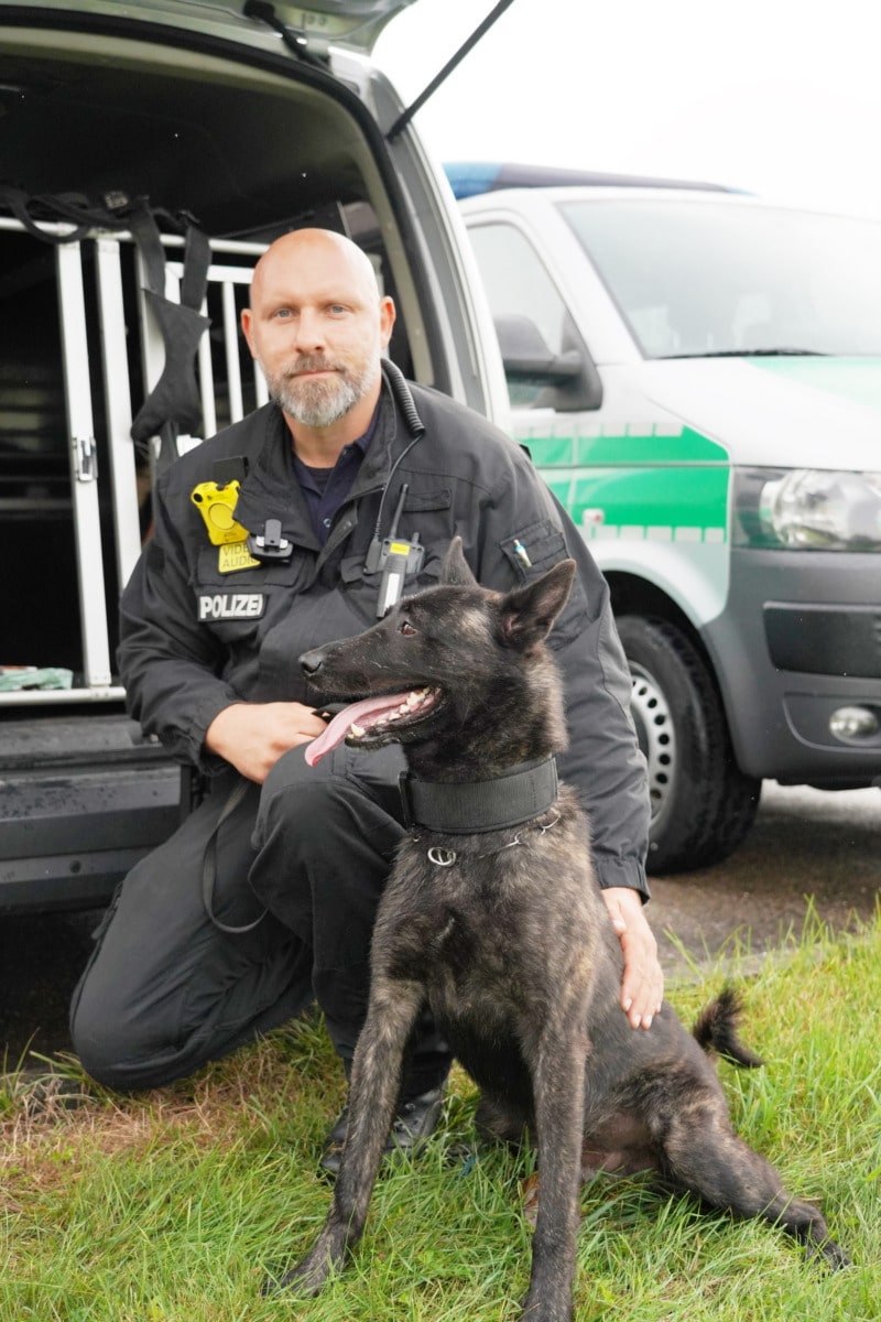 Zahlreiche Hunde Durch Präparierte Hundeköder In Ulm Und Neu-Ulm Verletzt - Polizei Kann Geständigen Tatverdächtigen Festnehmen