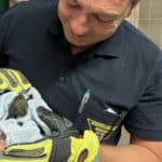 Tierischer Tag für die Berufsfeuerwehr in München