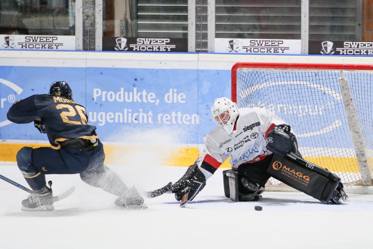 Kontinuität Beim Ehc Königsbrunn - Pinguine Setzen Weiterhin Auf Angestammtes Torhütertrio