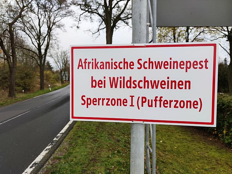 Erster Fall Der Afrikanischen Schweinepest In Hessen Nachgewiesen