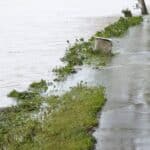 Nach Hochwasser | Dillinger Landrat fordert Prüfung verpflichtender solidarischer Mehrgefahrenversicherung