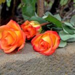 Neue Termine in Augsburg |  Trauergruppe für Frauen und Männer, die ihren Partner/ihre Partnerin verloren haben