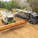 Die familiengeführte Bavaria Mühle Dorfner Aktienmühle aus Aichach informiert über die Getreideernte 2024