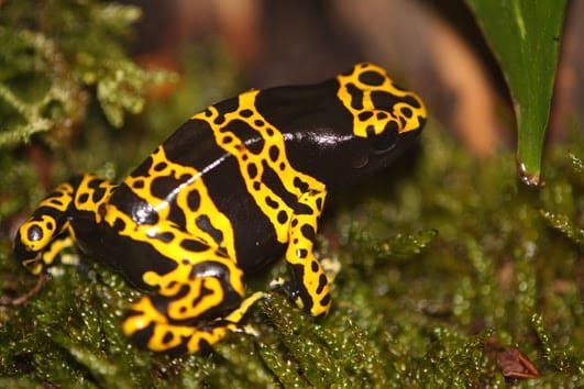 Zoo Augsburg aktuell | Sommerzeit ist tierische Ausflugszeit 10 Zoo Augsburg Aktuell | Sommerzeit Ist Tierische Ausflugszeit