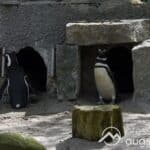 Wegen Sturmwarnung | Zoo Augsburg bleibt heute geschlossen