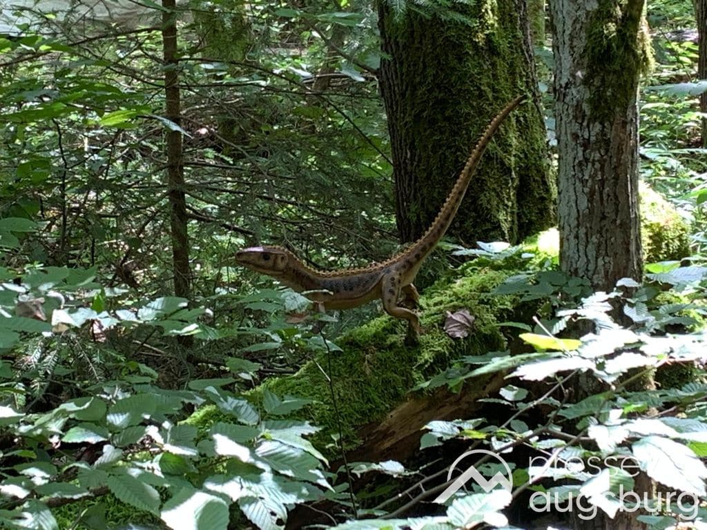 Gewinnspiel | Die Urzeit hautnah erleben - Das Dinosaurier Museum Altmühltal in Denkendorf 6 Gewinnspiel | Die Urzeit Hautnah Erleben - Das Dinosaurier Museum Altmühltal In Denkendorf