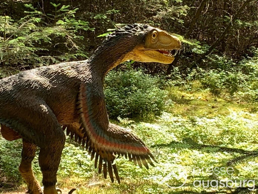 Gewinnspiel | Die Urzeit hautnah erleben - Das Dinosaurier Museum Altmühltal in Denkendorf 5 Gewinnspiel | Die Urzeit Hautnah Erleben - Das Dinosaurier Museum Altmühltal In Denkendorf