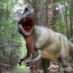 Gewinnspiel | Die Urzeit hautnah erleben – Das Dinosaurier Museum Altmühltal in Denkendorf