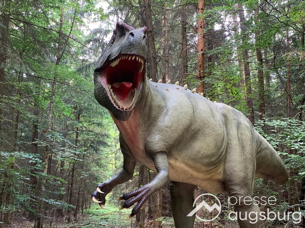 Gewinnspiel | Die Urzeit hautnah erleben - Das Dinosaurier Museum Altmühltal in Denkendorf 4 Gewinnspiel | Die Urzeit Hautnah Erleben - Das Dinosaurier Museum Altmühltal In Denkendorf