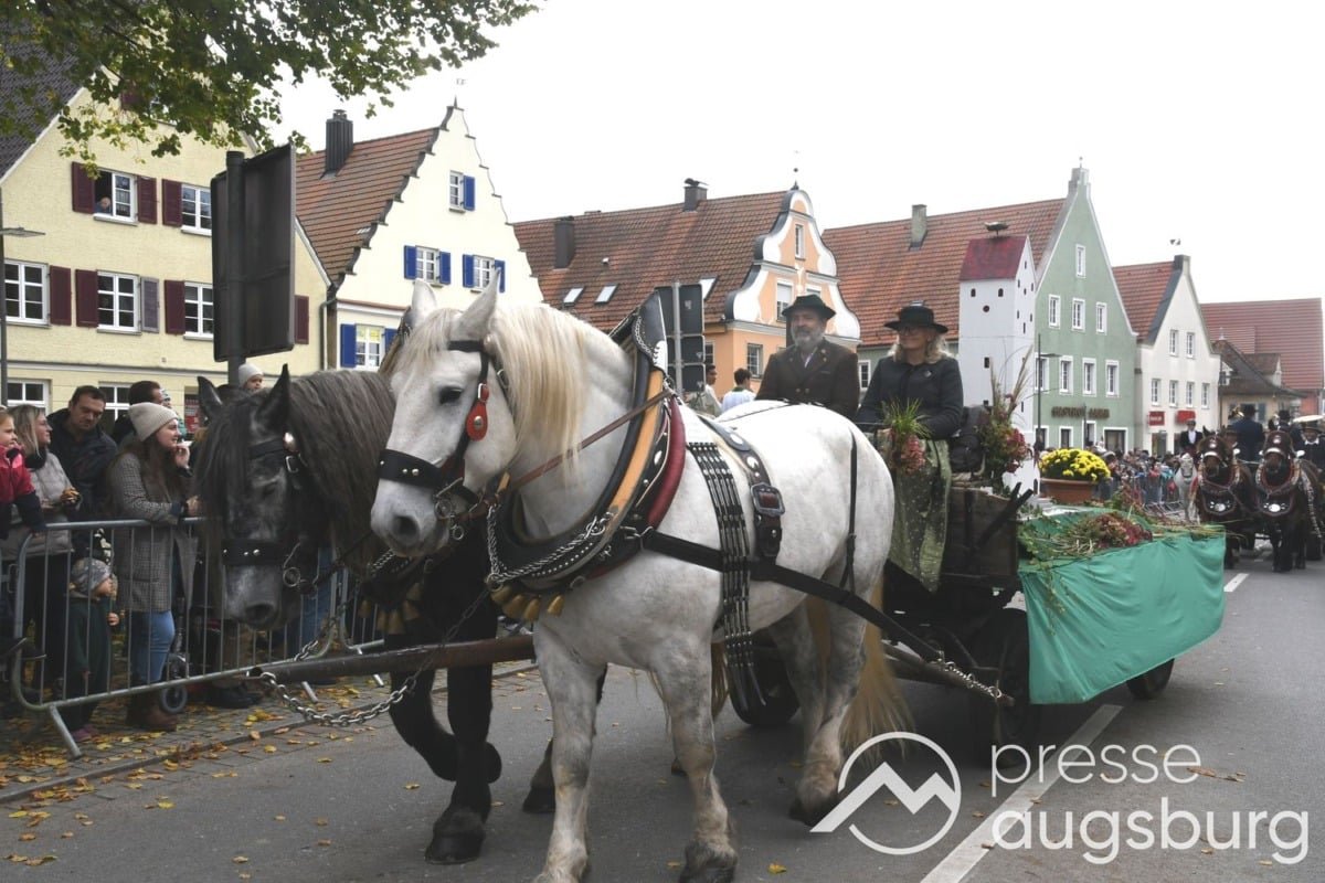 Leonhardiritt Weißenhorn | Feierlicher Umzug mit langer Geschichte sorgt für Straßensperrungen und Umleitungen 74 Leonhardiritt Weißenhorn | Feierlicher Umzug Mit Langer Geschichte Sorgt Für Straßensperrungen Und Umleitungen