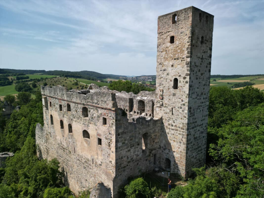 Bild-1_Burgruine-Niederhaus