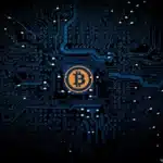 Das Wachstum von Bitcoin-basierten Peer-to-Peer-Marktplätzen für Waren und Dienstleistungen