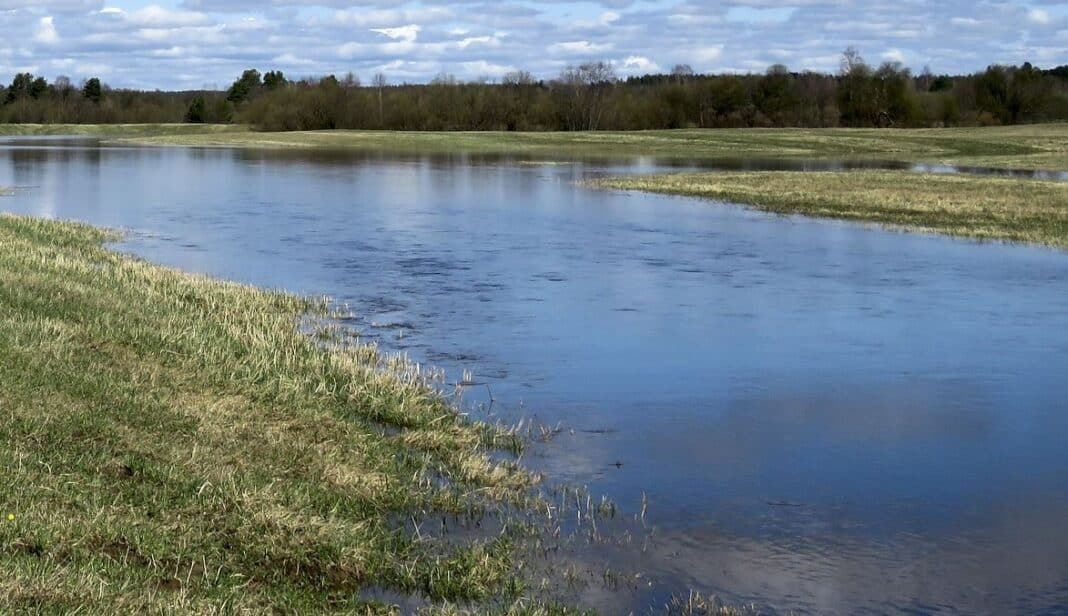 landscape-5158989_1920