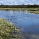 Hochwasser in Bayern | Riedstrom-Landwirte erhalten dringend benötigte Sonderlösung