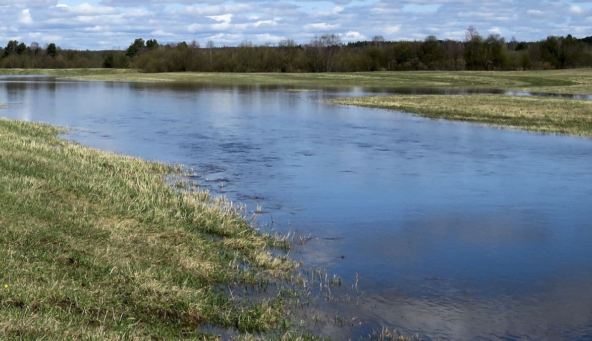 Hochwasser in Bayern | Riedstrom-Landwirte erhalten dringend benötigte Sonderlösung