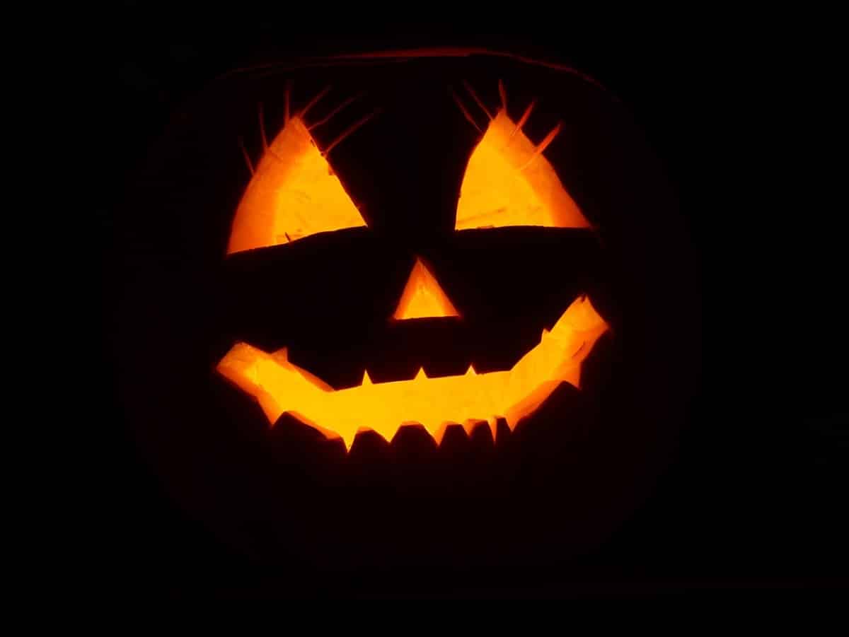Tür eingetreten und Eier geworfen | Sachbeschädigung an Halloween in Neuburg an der Donau