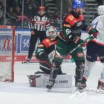 Augsburger Panther trotz Leistungssteigerung ohne Punkte gegen Mannheim