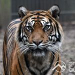 Zoo Augsburg aktuell | Tierisch geht es in den Herbst