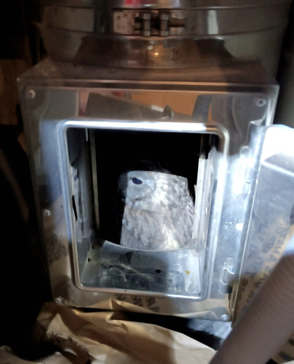 Bildschirmfoto 2024-12-19 um 22.02.23