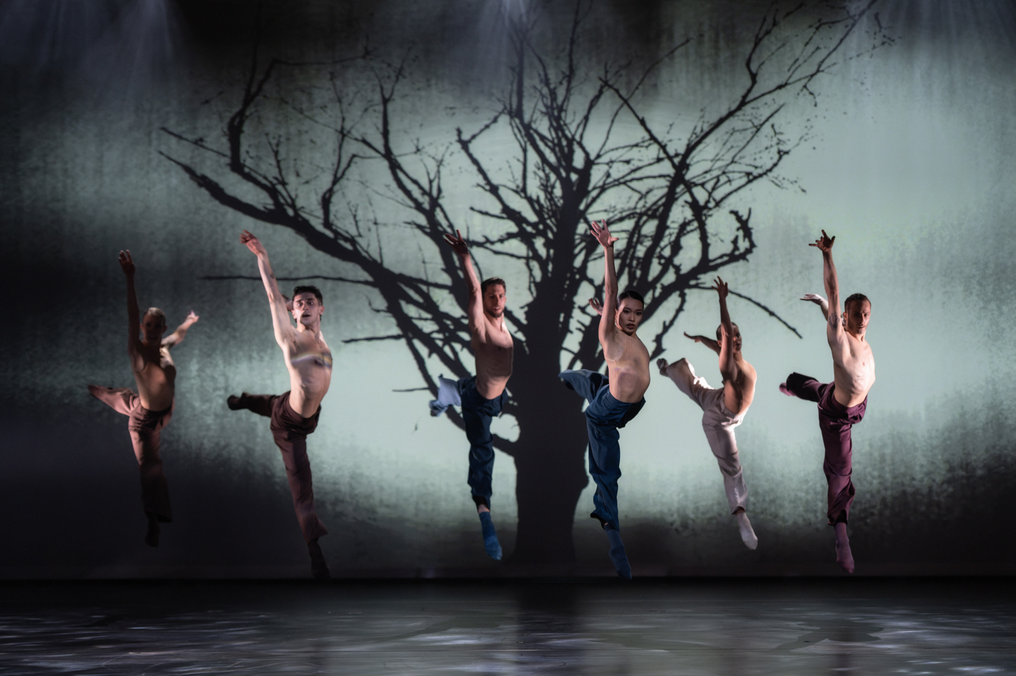 Publikumsmagnete kehren zurück | Ballett-Highlights im Staatstheater Augsburg