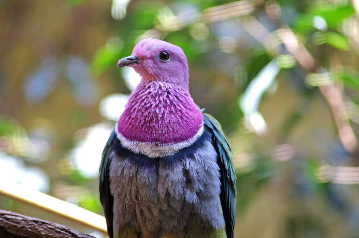 Zoo Augsburg aktuell | Ein erfolgreiches Jahr im Tierpark - Neue Tiere und Vorfreude auf 2025 10 Zoo Augsburg Aktuell | Ein Erfolgreiches Jahr Im Tierpark - Neue Tiere Und Vorfreude Auf 2025