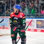 Augsburger Panther trotz Heimniederlage weiter über dem Strich