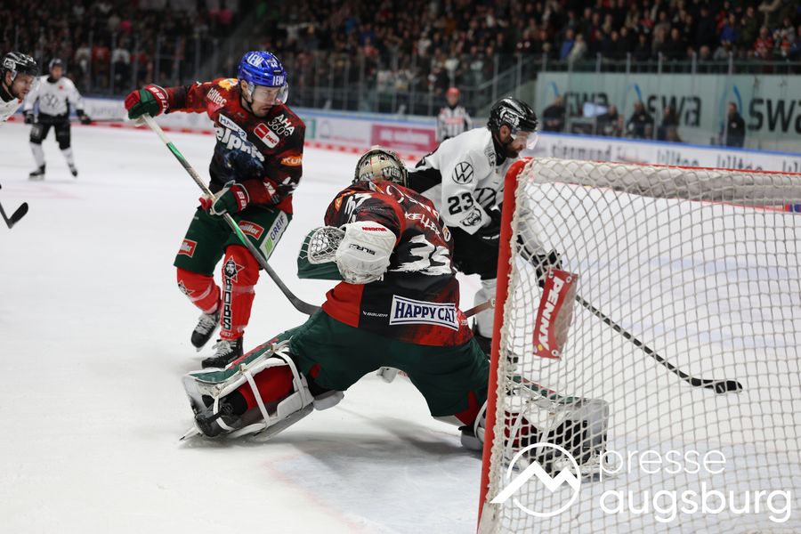 Augsburger Panther kämpfen für den Klassenerhalt - AEV siegt auch gegen Wolfsburg 44 Augsburger Panther Kämpfen Für Den Klassenerhalt - Aev Siegt Auch Gegen Wolfsburg