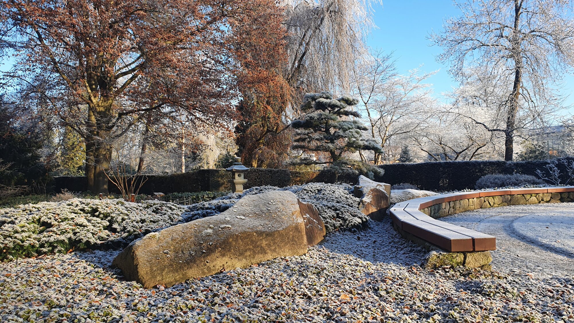 Botanischer Garten Augsburg Im Winter: Natur, Wissen Und Inspiration