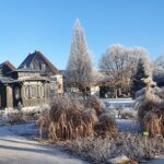 Botanischer Garten Augsburg im Winter: Natur, Wissen und Inspiration
