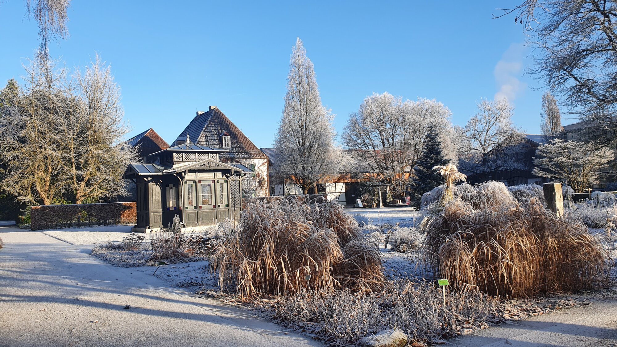 Botanischer Garten Augsburg im Winter: Natur, Wissen und Inspiration