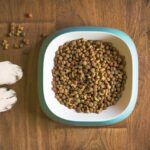 Tiernahrung in Deutschland: der neue Gourmet-Boom?