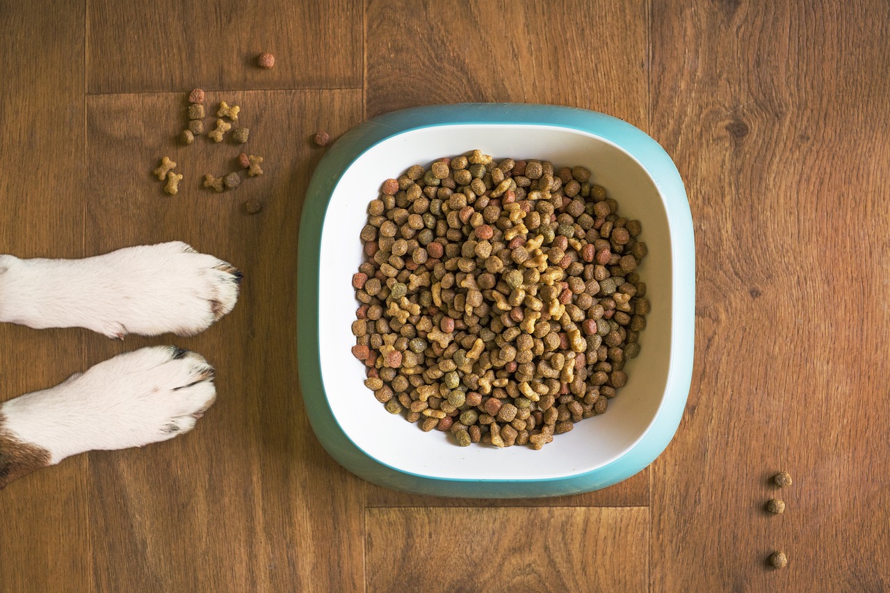 Tiernahrung in Deutschland: der neue Gourmet-Boom?