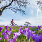 Frühling in Sicht? Wetterprognosen versprechen milde Temperaturen