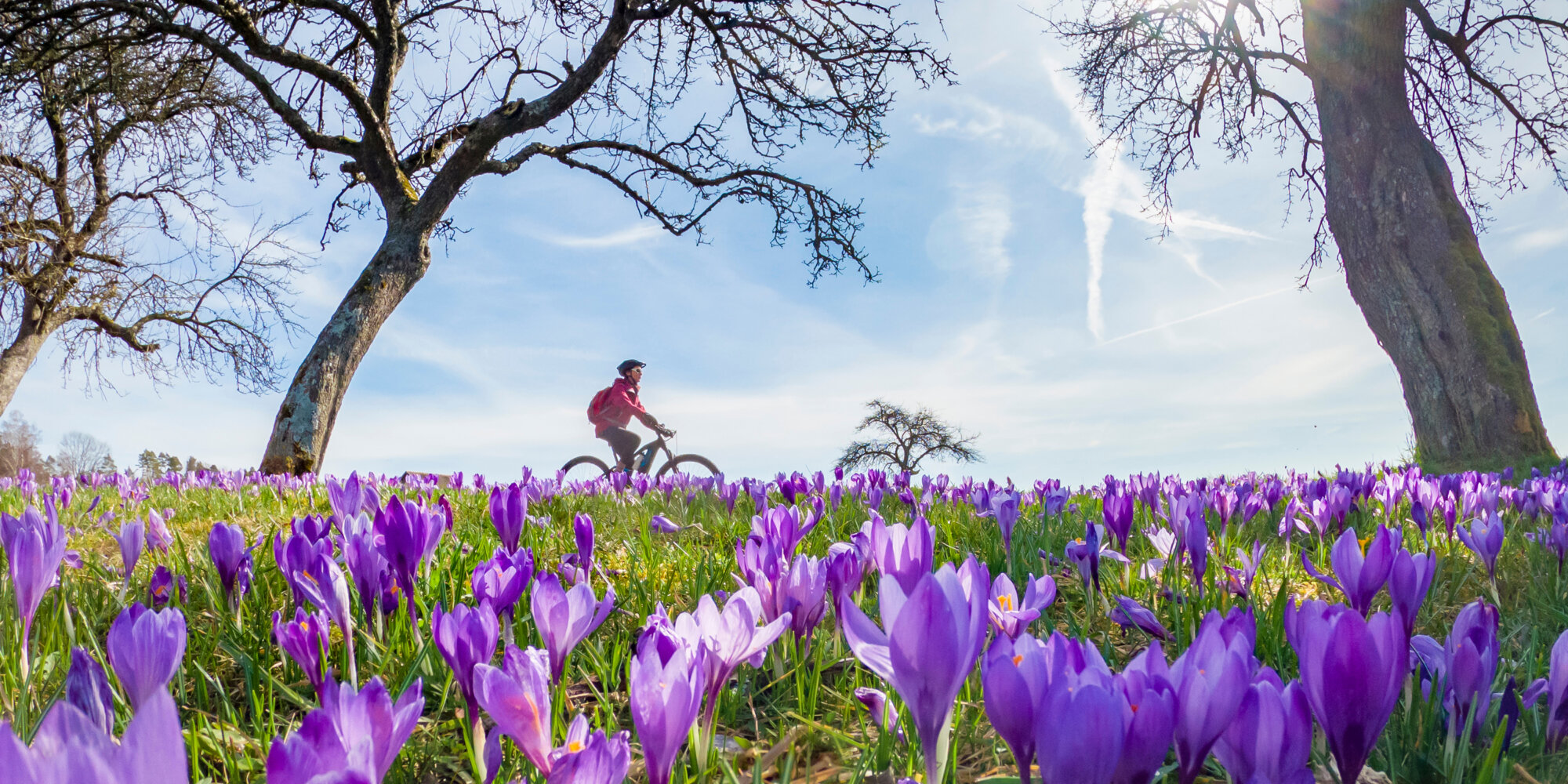 Frühling in Sicht? Wetterprognosen versprechen milde Temperaturen