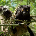 Zoo Augsburg aktuell | Die Anzeichen des Frühlings sind spürbar