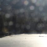 Unglück am Eibsee: Menschen ins Eis eingebrochen