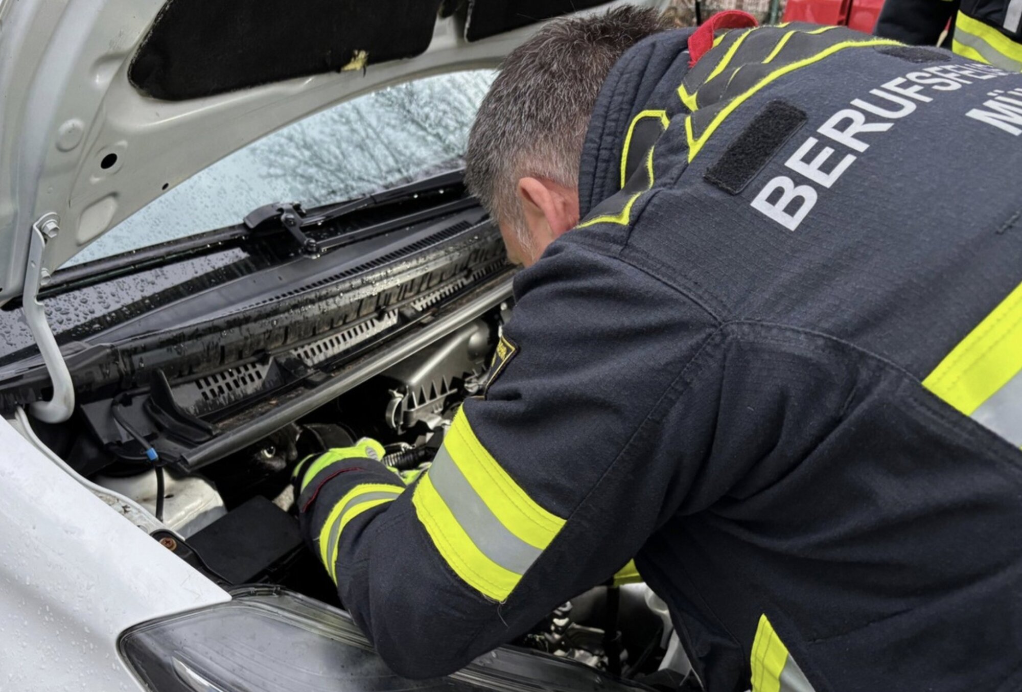 Stubenpanther In Not: Feuerwehr München Rettet Neugierigen Kater Aus Motorraum