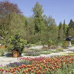 Frühling im Botanischen Garten Augsburg