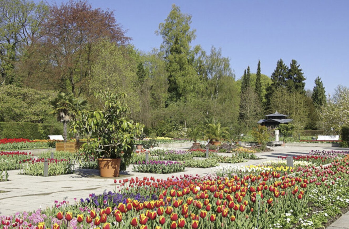 Frühling im Botanischen Garten Augsburg
