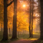 Augsburg bekommt einen Naturfriedhof in Wellenburg