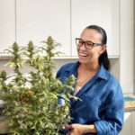 Legaler Cannabis Anbau – worauf ist zu achten?